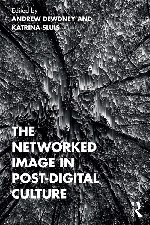 The Networked Image in Post-Digital Culture (Paperback)