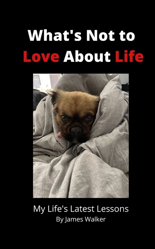 Whats Not to Love About Life: My Lifes Latest Lessons (Paperback)