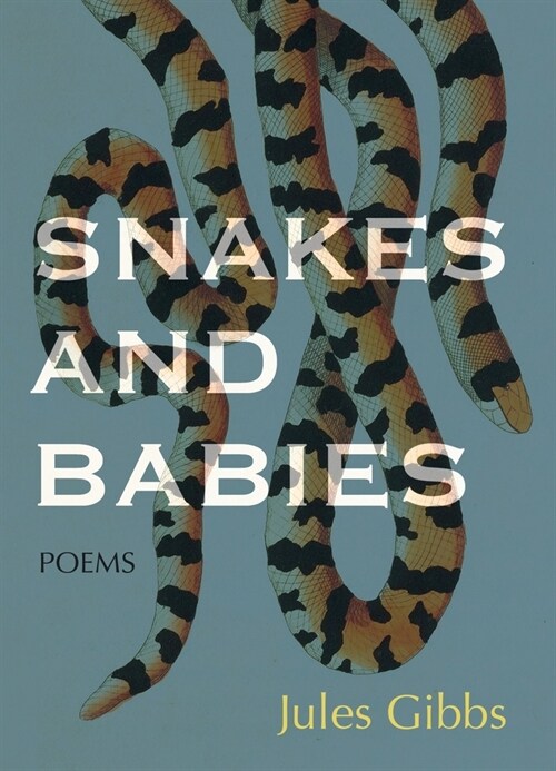 Snakes and Babies: Poems (Paperback)