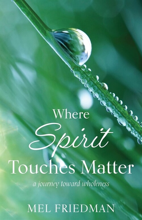 Where Spirit Touches Matter: a journey toward wholeness (Paperback)