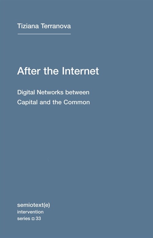 After the Internet : Digital Networks between the Capital and the Common (Paperback)