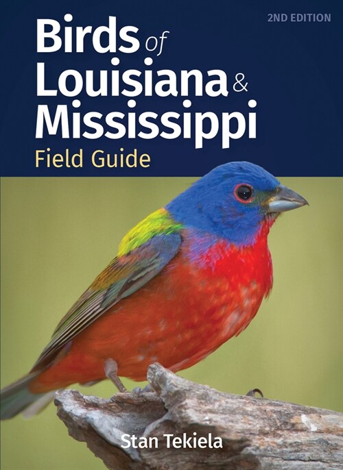 Birds of Louisiana & Mississippi Field Guide (Paperback, 2, Revised)