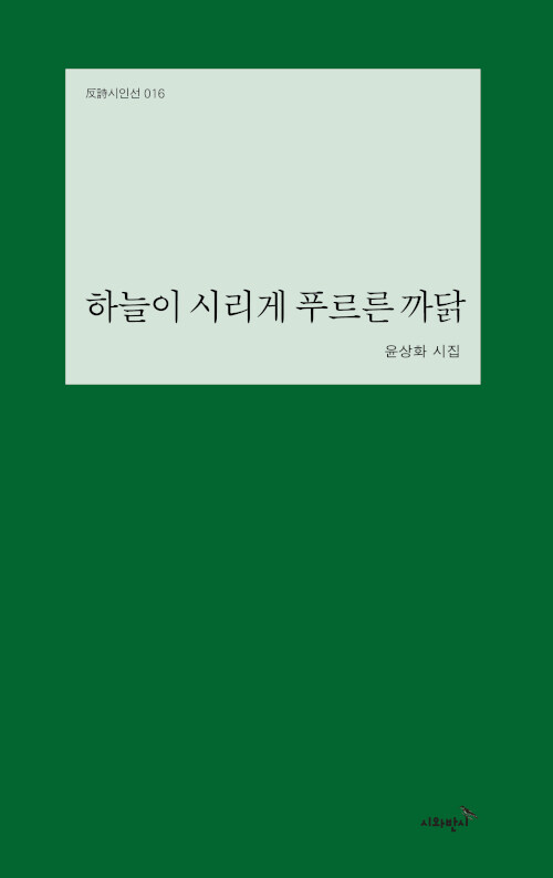 [중고] 하늘이 시리게 푸르른 까닭