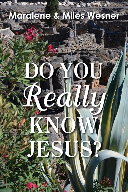 Do You Really Know Jesus? (Paperback)