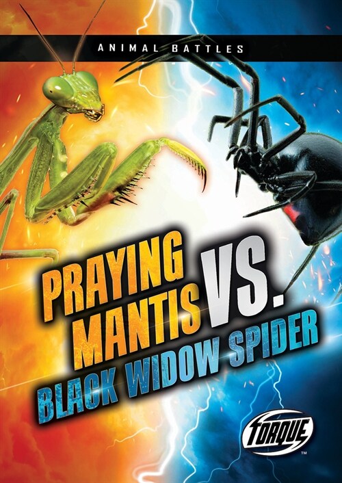 Praying Mantis vs. Black Widow Spider (Paperback)