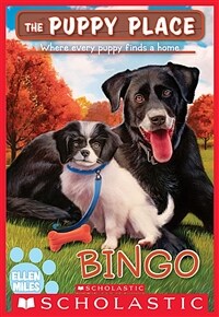 Bingo (the Puppy Place #65) (Paperback)