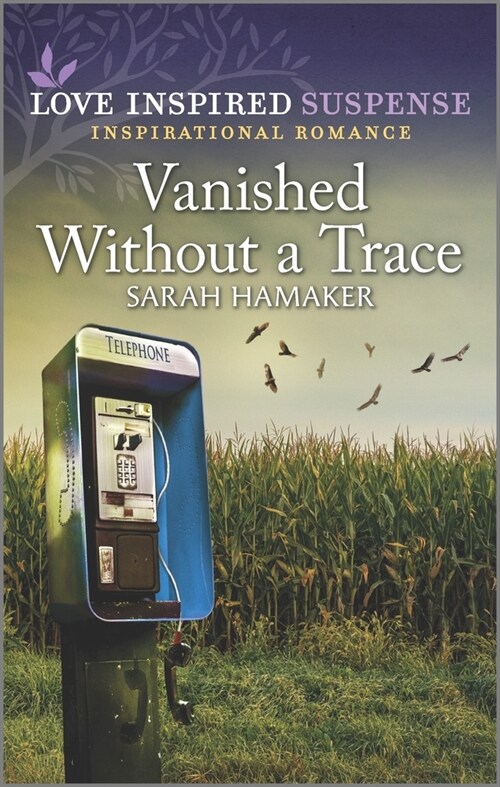 Vanished Without a Trace (Mass Market Paperback, Original)