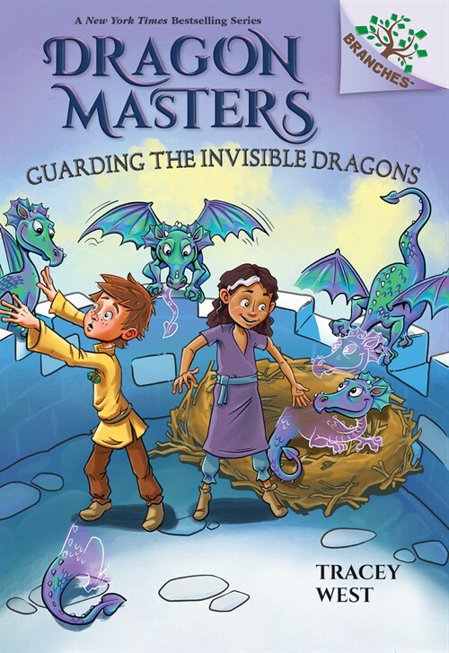 Guarding the Invisible Dragons: A Branches Book (Dragon Masters #22) (Hardcover)