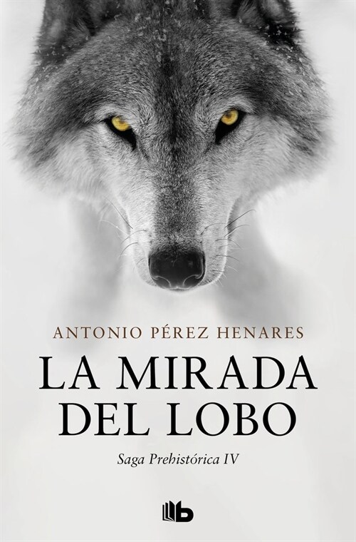 LA MIRADA DEL LOBO (Paperback)