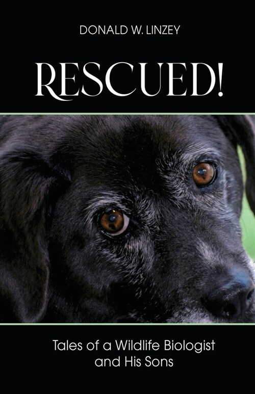Rescued!: Tales of a Wildlife Biologist and His Sons (Paperback)