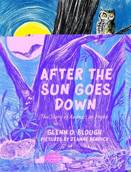 After the Sun Goes Down (Hardcover)