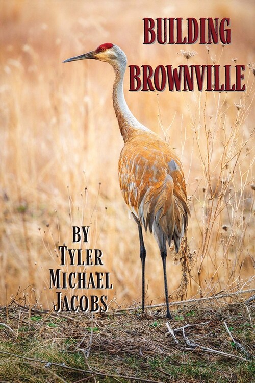 Building Brownville (Paperback)