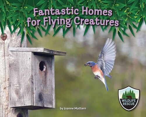 Fantastic Homes for Flying Creatures (Library Binding)