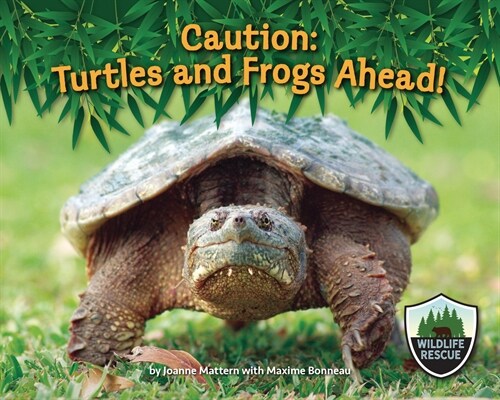 Caution: Turtles and Frogs Ahead! (Paperback)