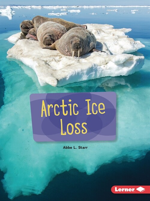 Arctic Ice Loss (Paperback)
