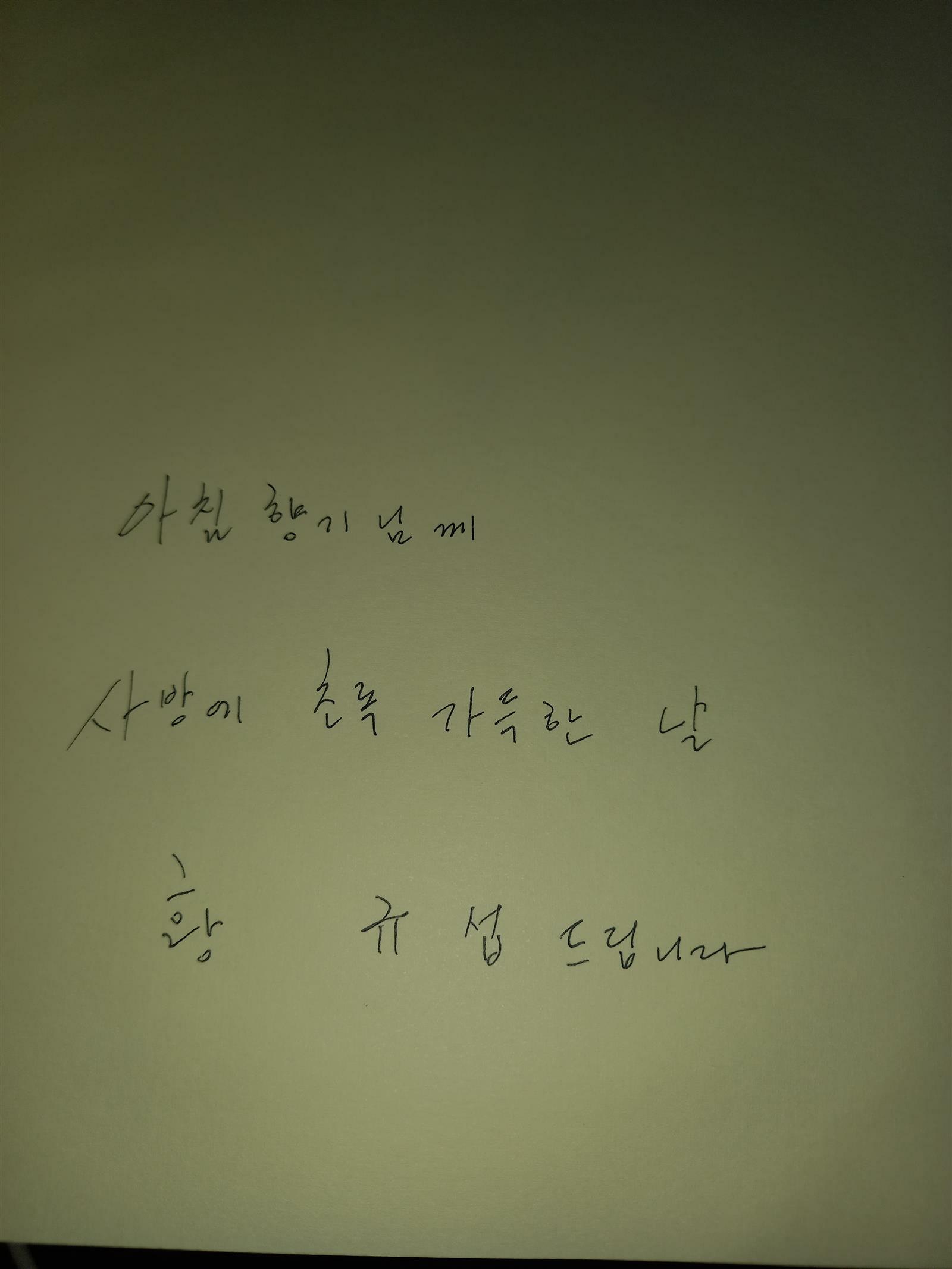 [중고] 하늘 고양이 라온 1