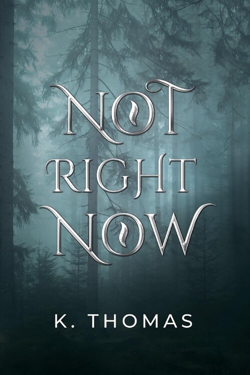 Not Right Now: Volume 2 (Paperback)