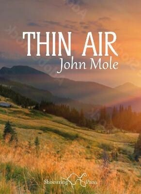 Thin Air (Paperback)