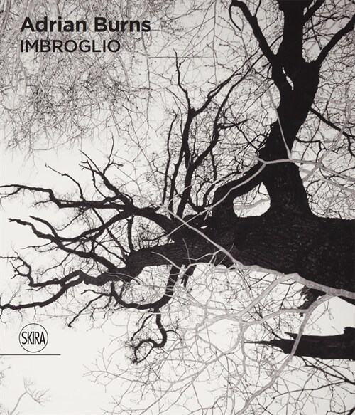 Adrian Burns: Imbroglio (Hardcover)