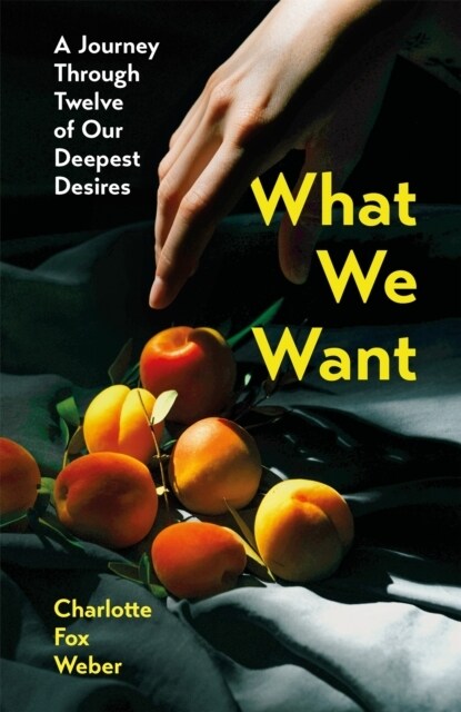 What We Want : A Journey Through Twelve of Our Deepest Desires (Paperback)