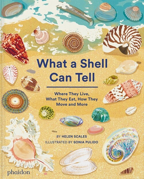 What A Shell Can Tell (Hardcover)