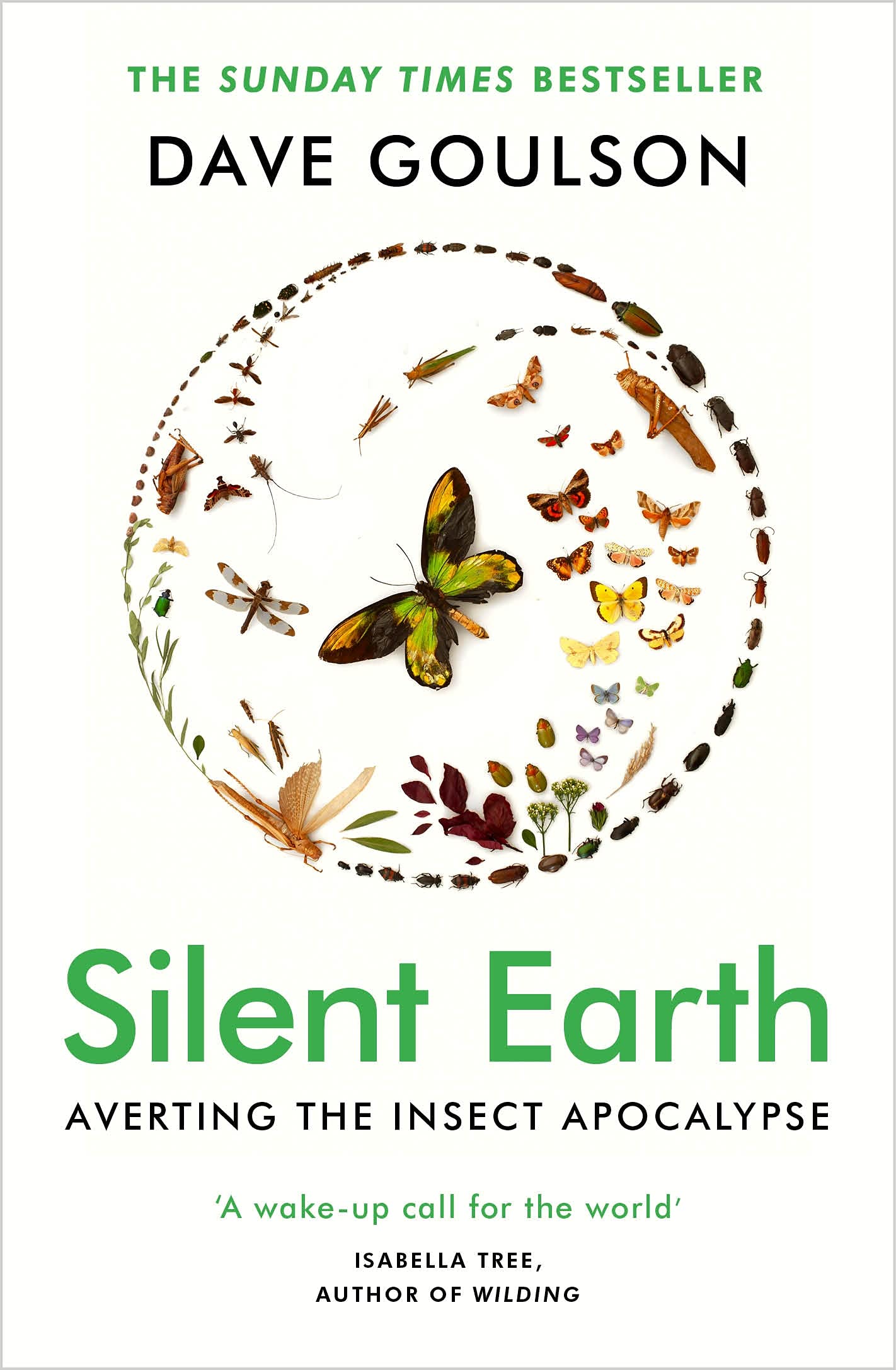 Silent Earth : THE SUNDAY TIMES BESTSELLER (Paperback)