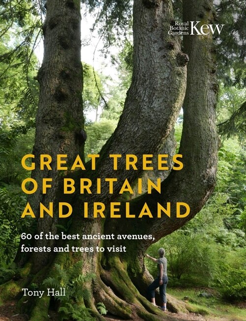 Great Trees of Britain and Ireland : Over 70 of the best ancient avenues, forests and trees to visit (Hardcover)