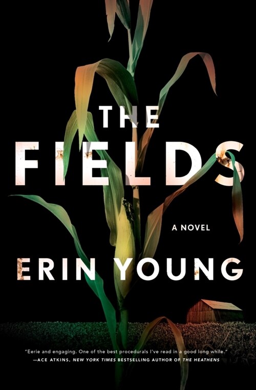 The Fields : A Novel (Paperback)