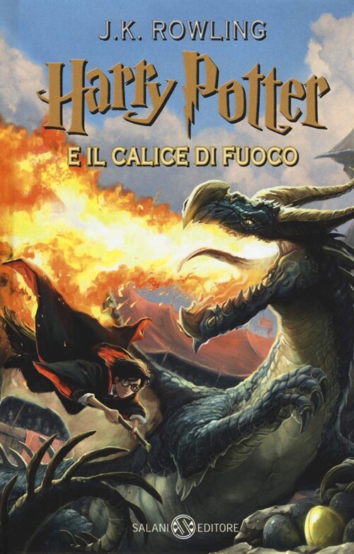 HARRY POTTER E IL CALICE DI FUOCO VOL 4 (Hardcover)
