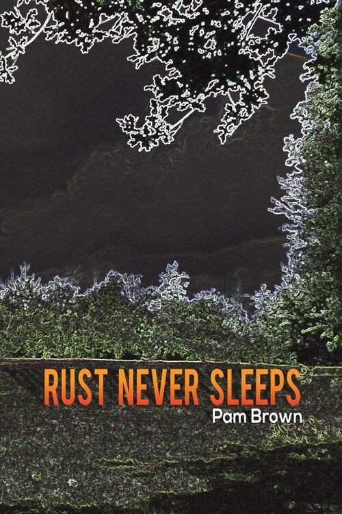 Rust Never Sleeps (Paperback)