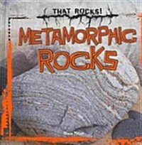 Metamorphic Rocks (Library Binding)