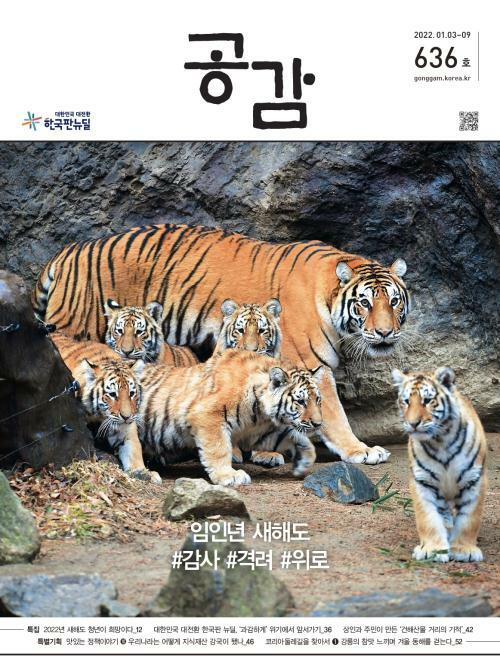 공감 636호