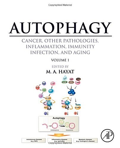 Autophagy: Cancer, Other Pathologies, Inflammation, Immunity, Infection, and Aging: Volume 1 - Molecular Mechanisms (Hardcover)