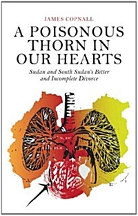A Poisonous Thorn in Our Hearts : Sudan and South Sudans Bitter and Incomplete Divorce (Paperback)