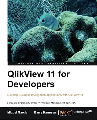 QlikView 11 for Developers (Paperback)