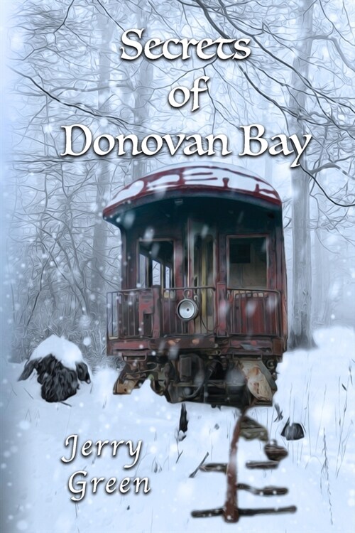 Secrets of Donovan Bay (Paperback)