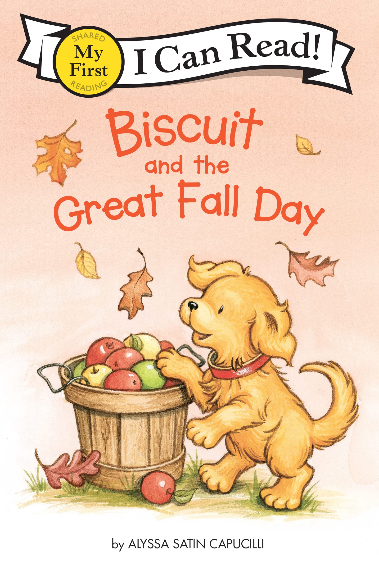 [중고] My First I Can Read: Biscuit and the Great Fall Day (Paperback)
