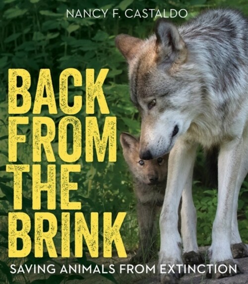 Back from the Brink: Saving Animals from Extinction (Paperback)