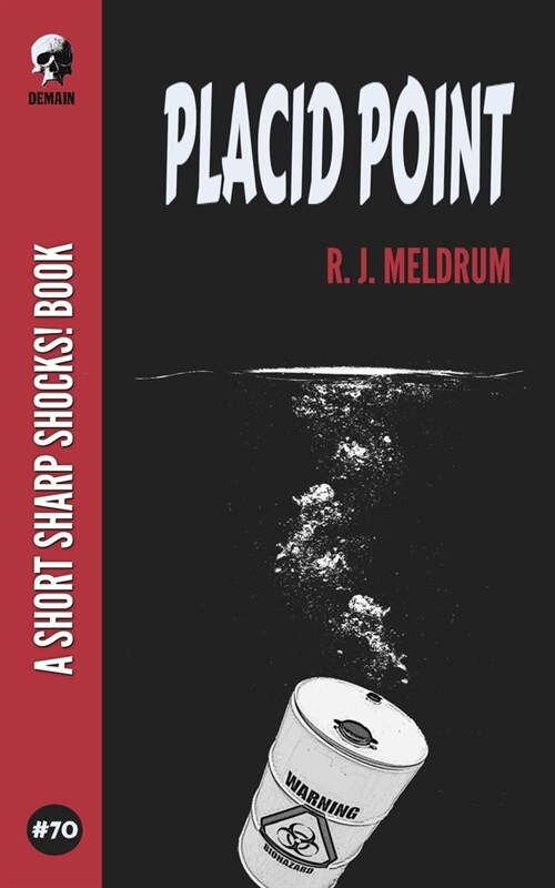 Placid Point (Paperback)