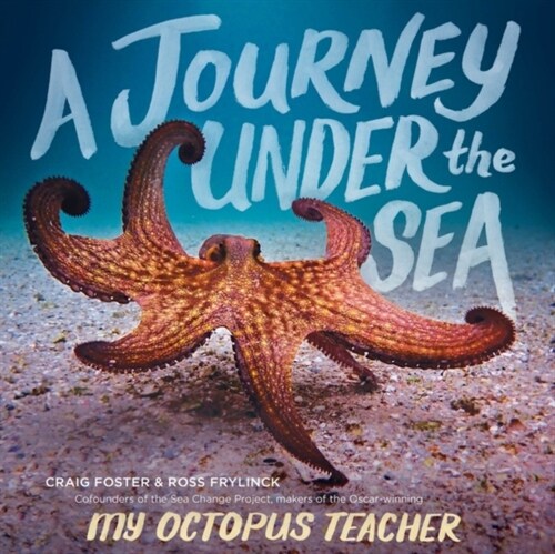 A Journey Under the Sea (Hardcover)