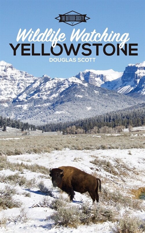 Wildlife Watching: Yellowstone (Paperback)