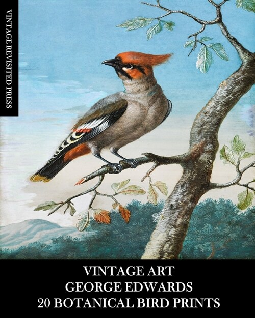 Vintage Art: George Edwards: 20 Botanical Bird Prints: Ephemera for Framing, Home Decor, Collage and Decoupage (Paperback)