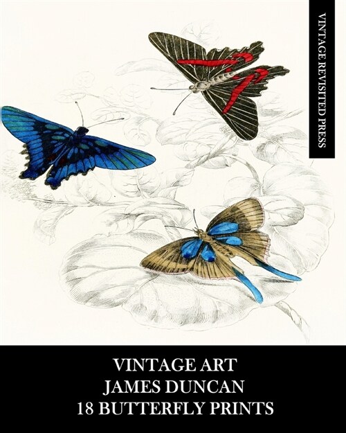 Vintage Art: James Duncan: 18 Butterfly Prints: Ephemera for Framing, Home Decor, Collage and Decoupage (Paperback)