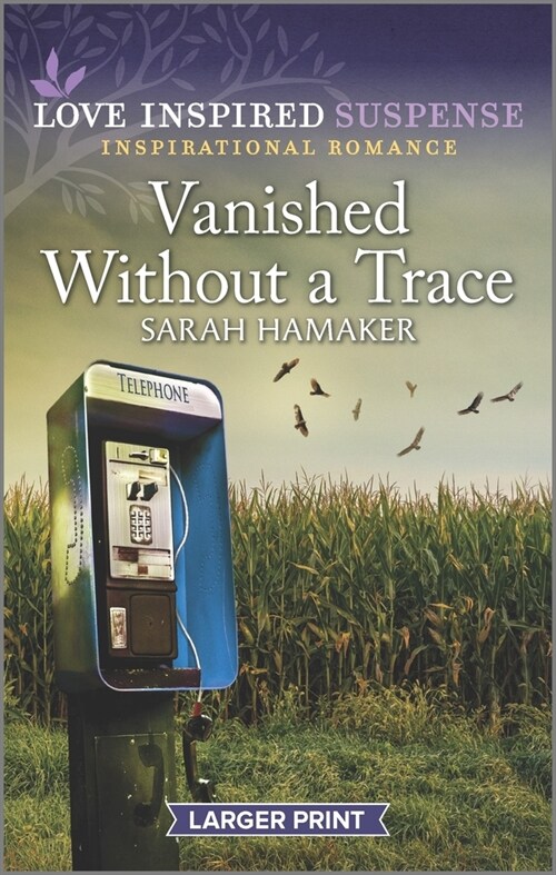 Vanished Without a Trace (Mass Market Paperback, Original)