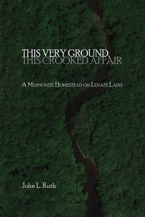 This Very Ground, This Crooked Affair (Paperback)