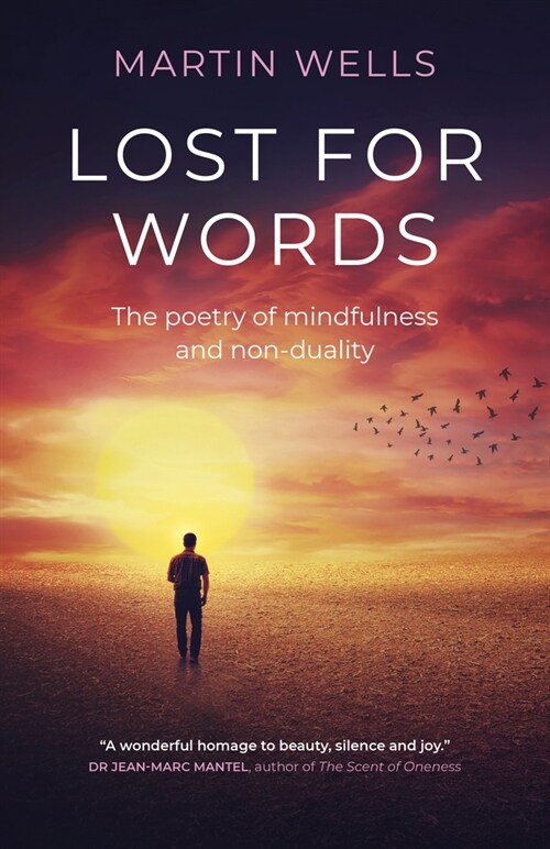 Lost for Words : The poetry of mindfulness and non-duality (Paperback)