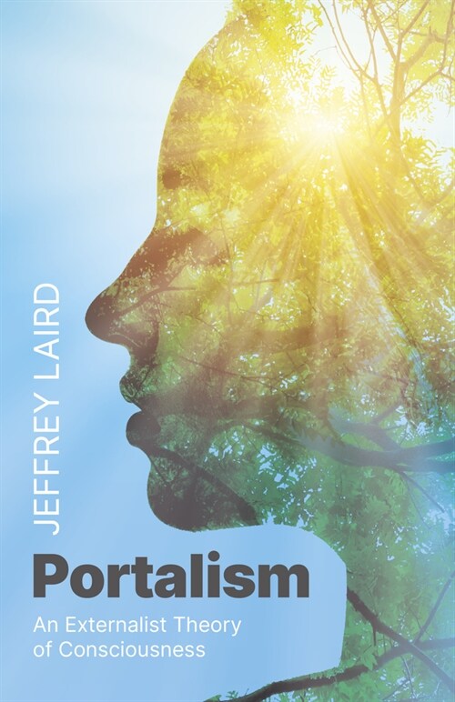 Portalism : An Externalist Theory of Consciousness (Paperback)