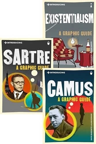 Introducing Graphic Guide Box Set - Why Am I Here? (Paperback)