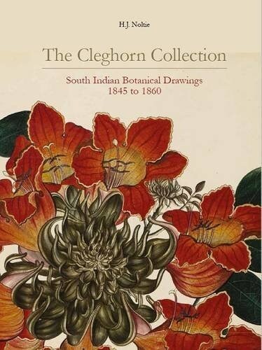 The Cleghorn Collection : South Indian Botanical Drawings 1845 to 1860 (Paperback)
