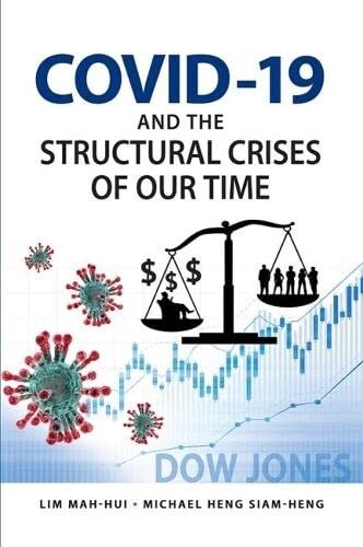 COVID-19 and the Structural Crises of our Time (Paperback)